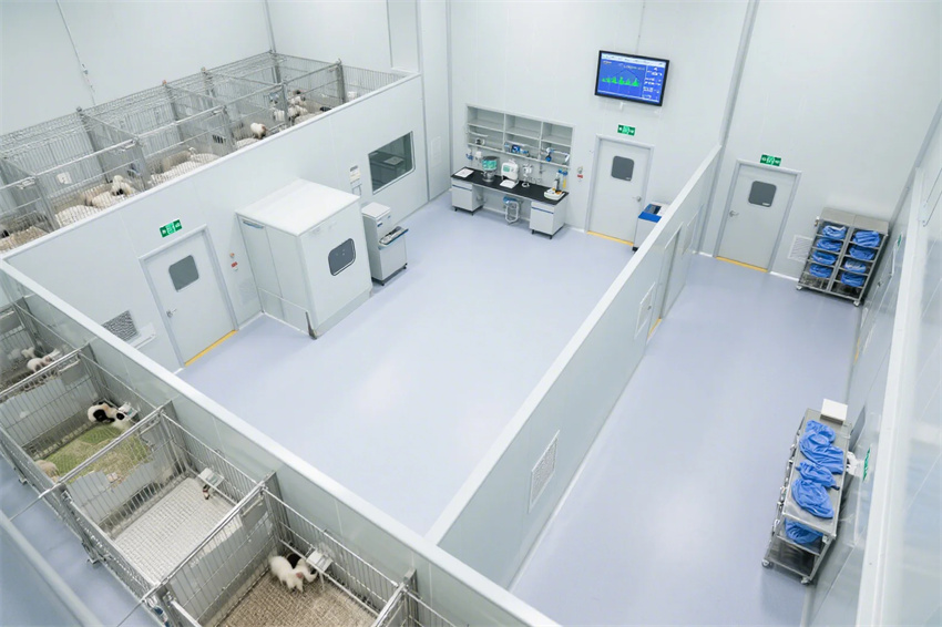 4000平合肥動(dòng)物研究實(shí)驗(yàn)室建設(shè)方案分享